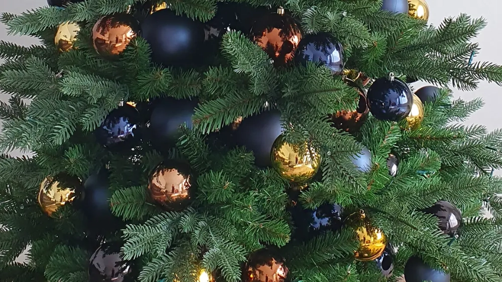amibus-sweden-tree-monaco